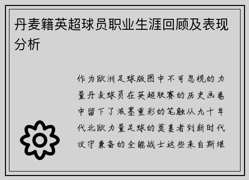 丹麦籍英超球员职业生涯回顾及表现分析