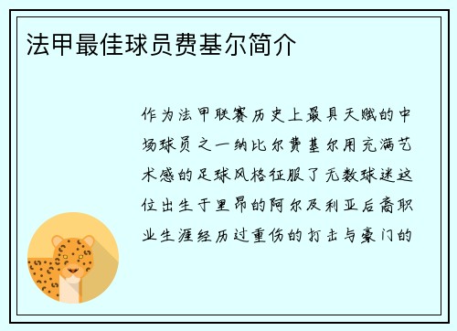 法甲最佳球员费基尔简介